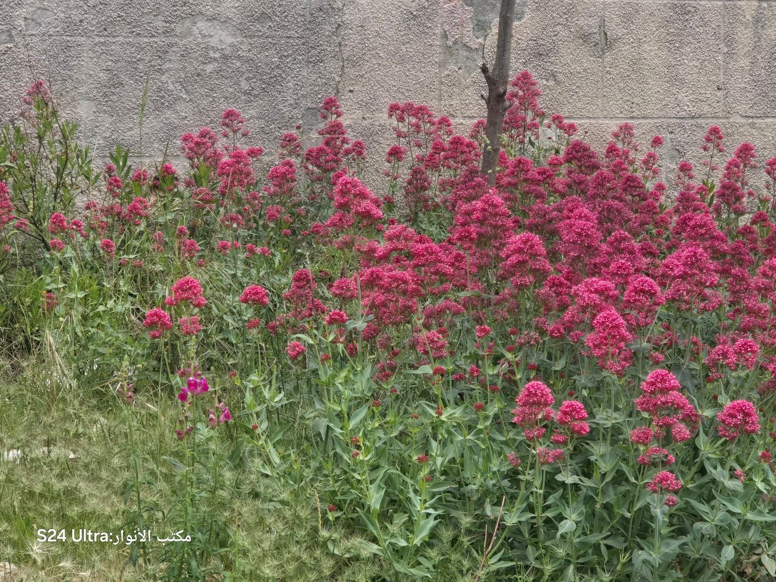 500034405_1110359457779263_1193447403650147162_n