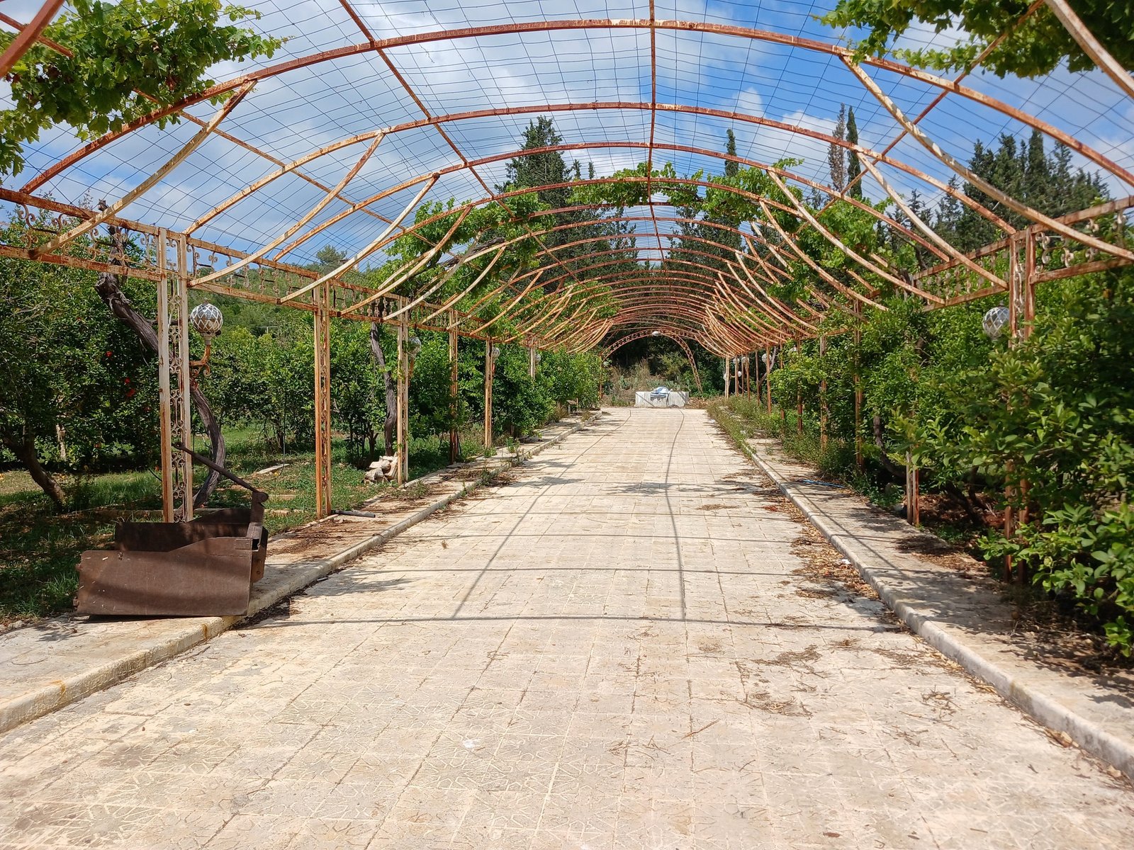 501061834_1077687704409616_1647488556674441212_n