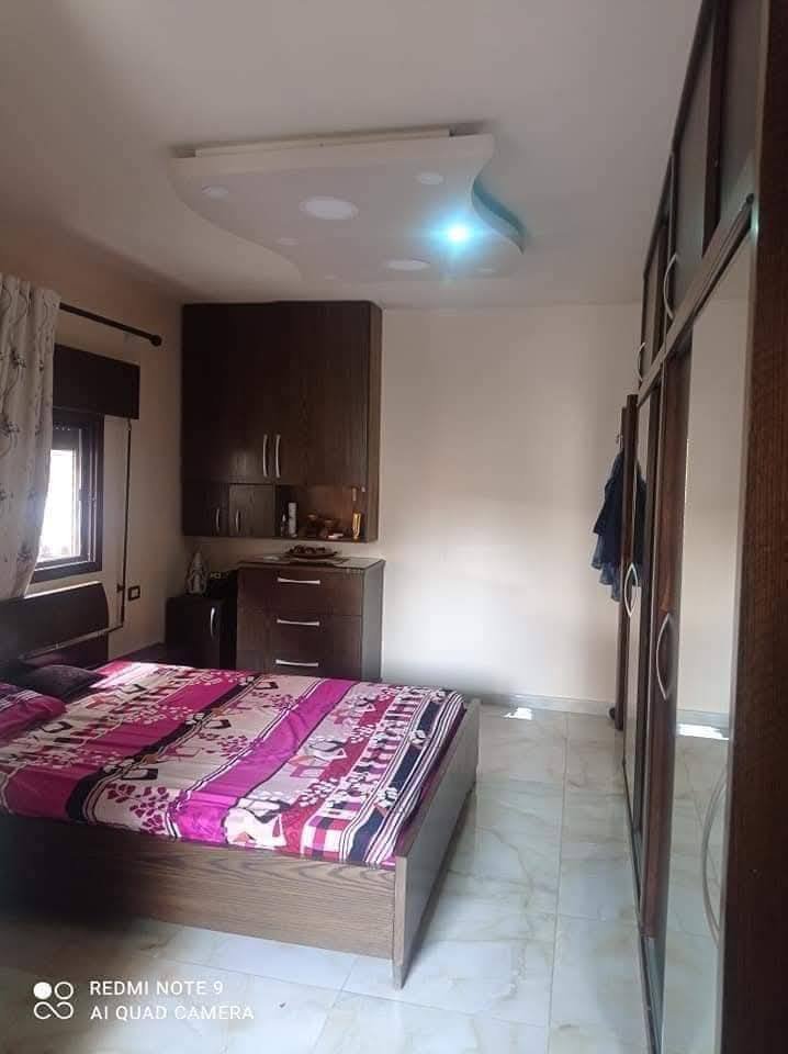 502530437_1166382515292940_4948514210507789968_n