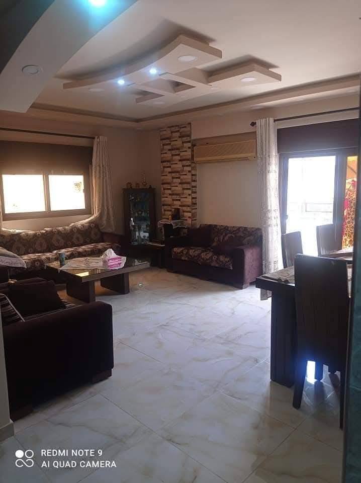 502911167_1166382811959577_4082851029879129863_n