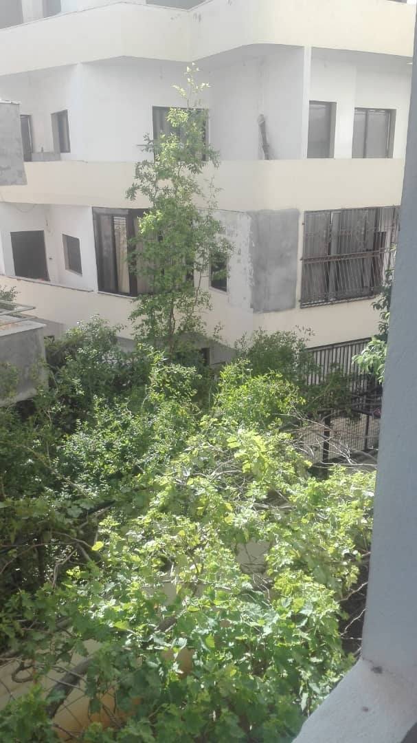 503677724_1055374960126116_5220700275430113131_n