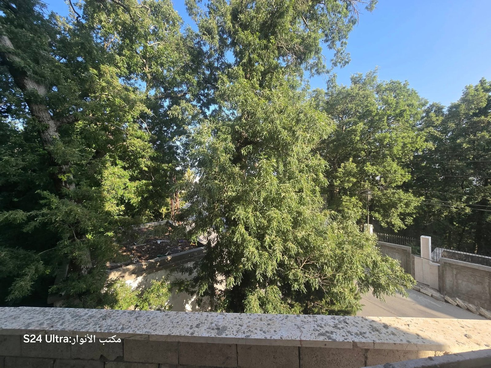 505426374_1126853789463163_5328151362290132385_n