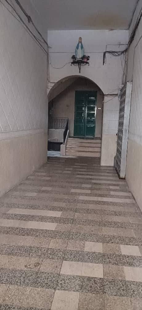 505525875_1042274118053229_4701877331572089843_n