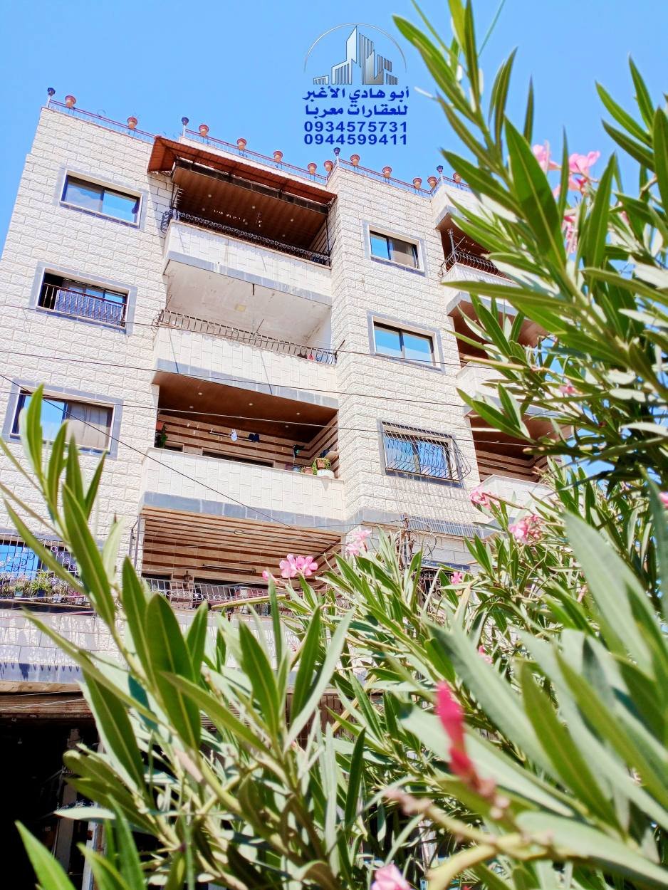 505584722_122161281038548386_3329440493396954411_n