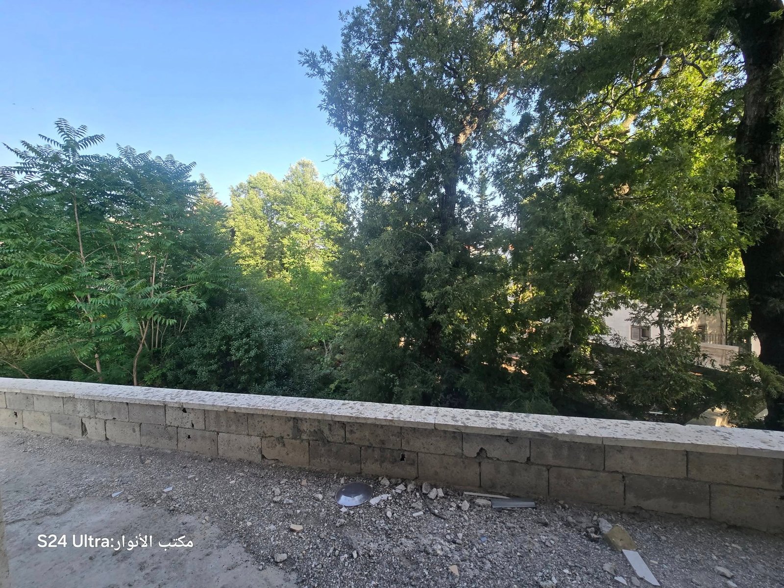 505734883_1126853652796510_1246649673480718815_n