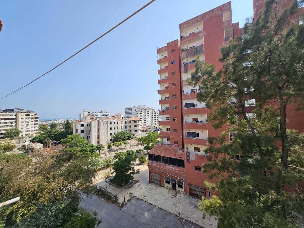 506264184_1090269703151416_4947679466987914239_n