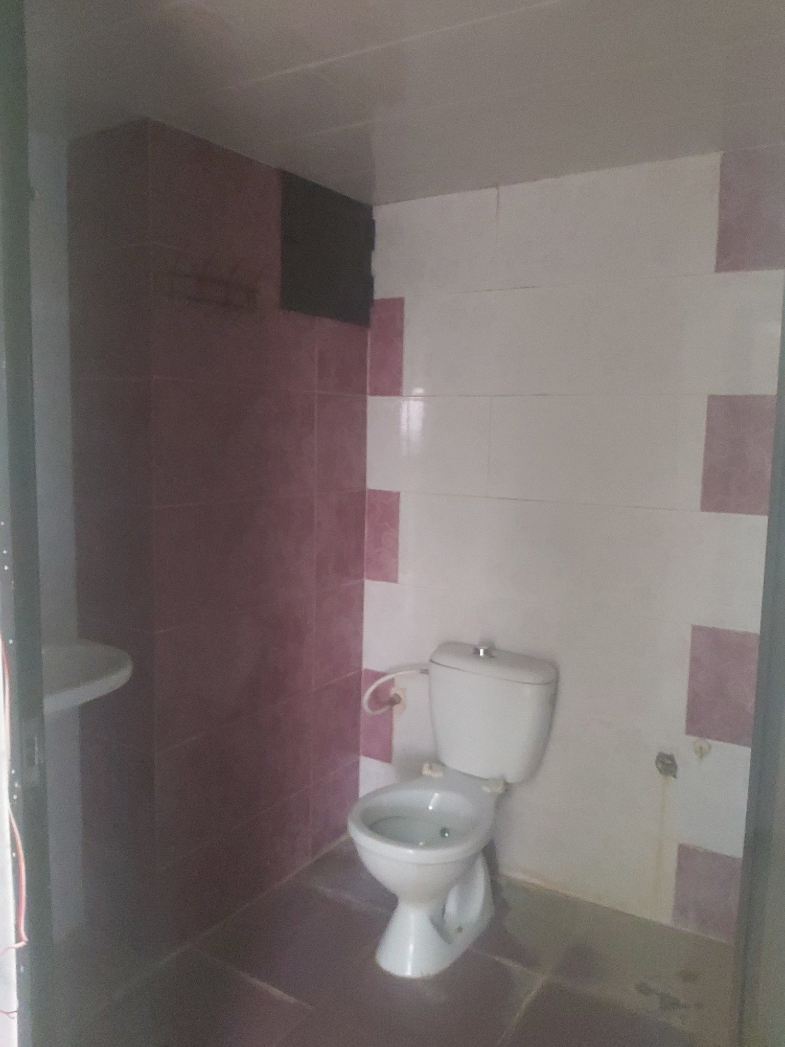 506529473_1064188219244790_2184595114636208029_n