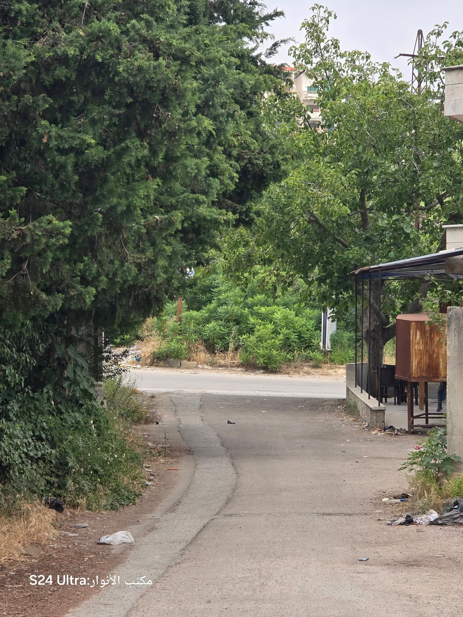 506635760_1130397015775507_7088474672067220308_n