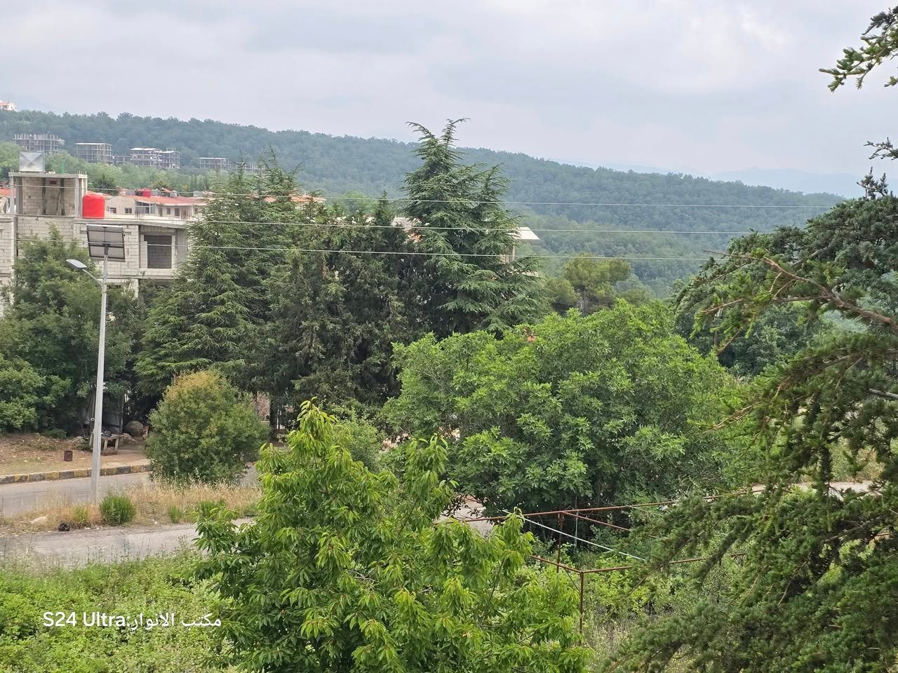 507531937_1130396709108871_6615184333263153177_n