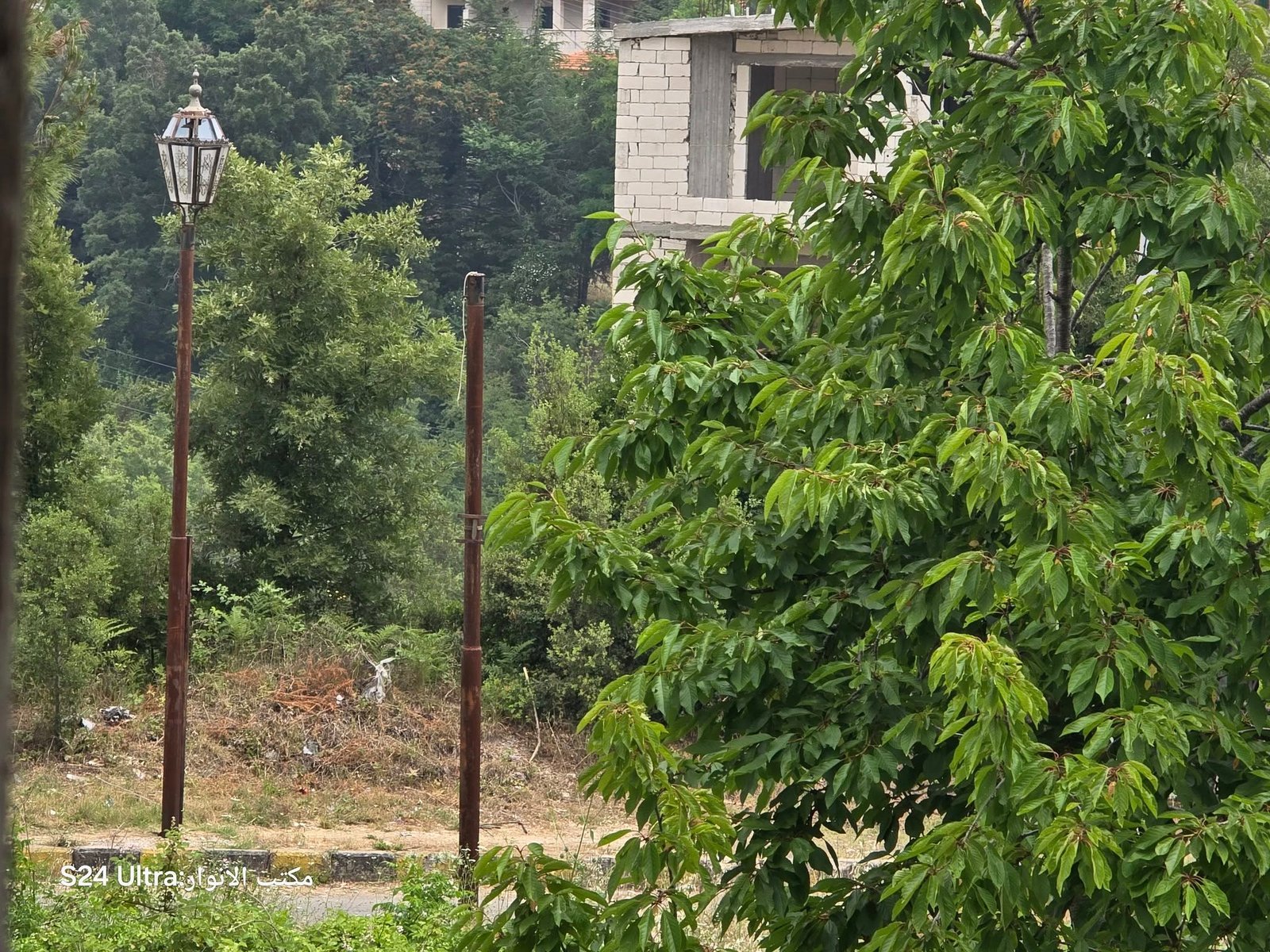 507760844_1130396969108845_1451638929622387891_n