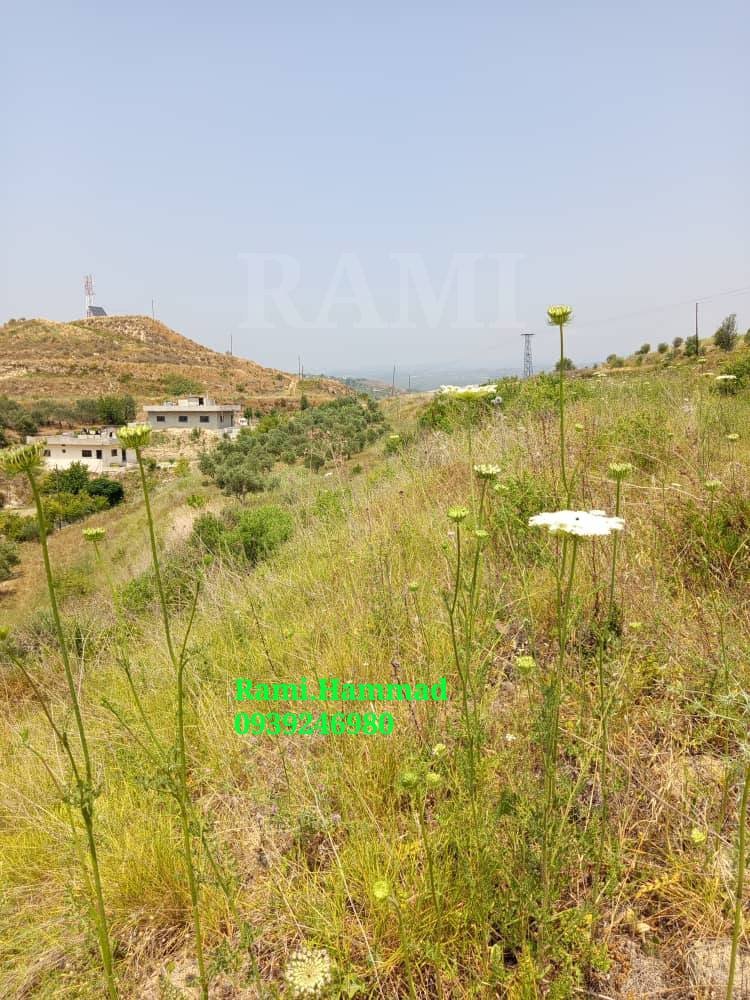 508136801_744315511419217_2928909754831479768_n