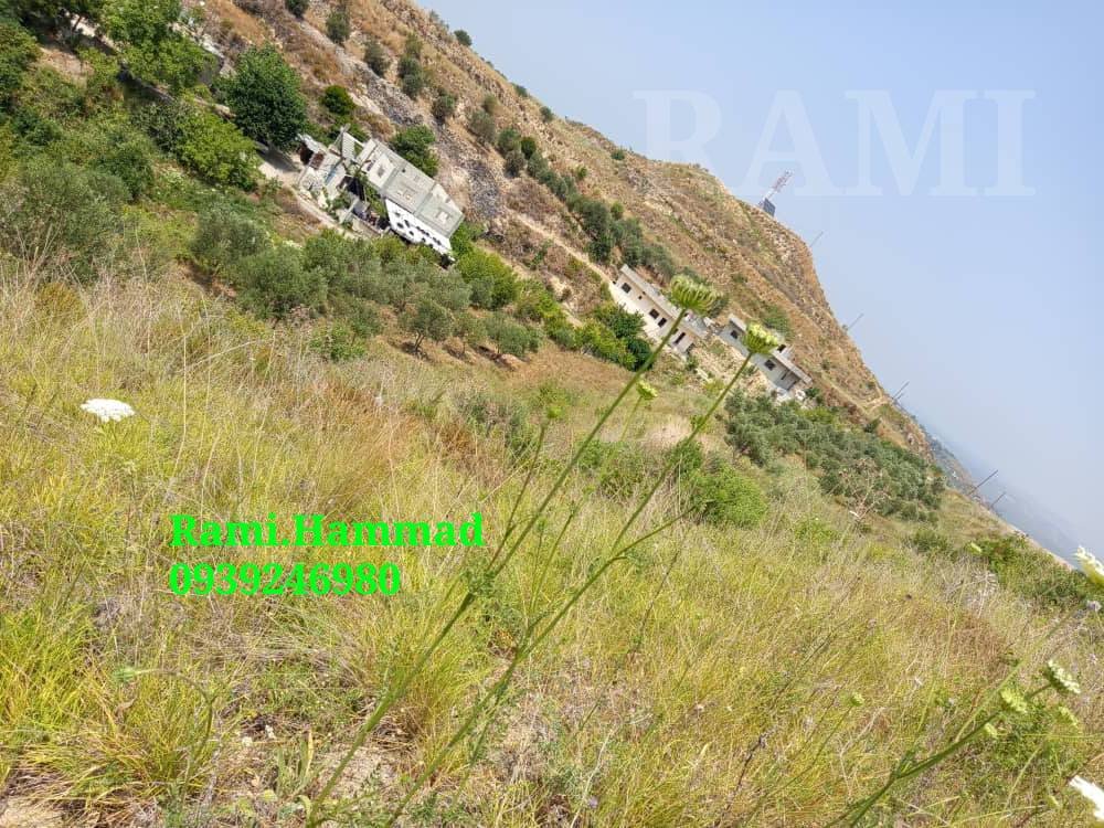 508181413_744315588085876_7685344782253675629_n