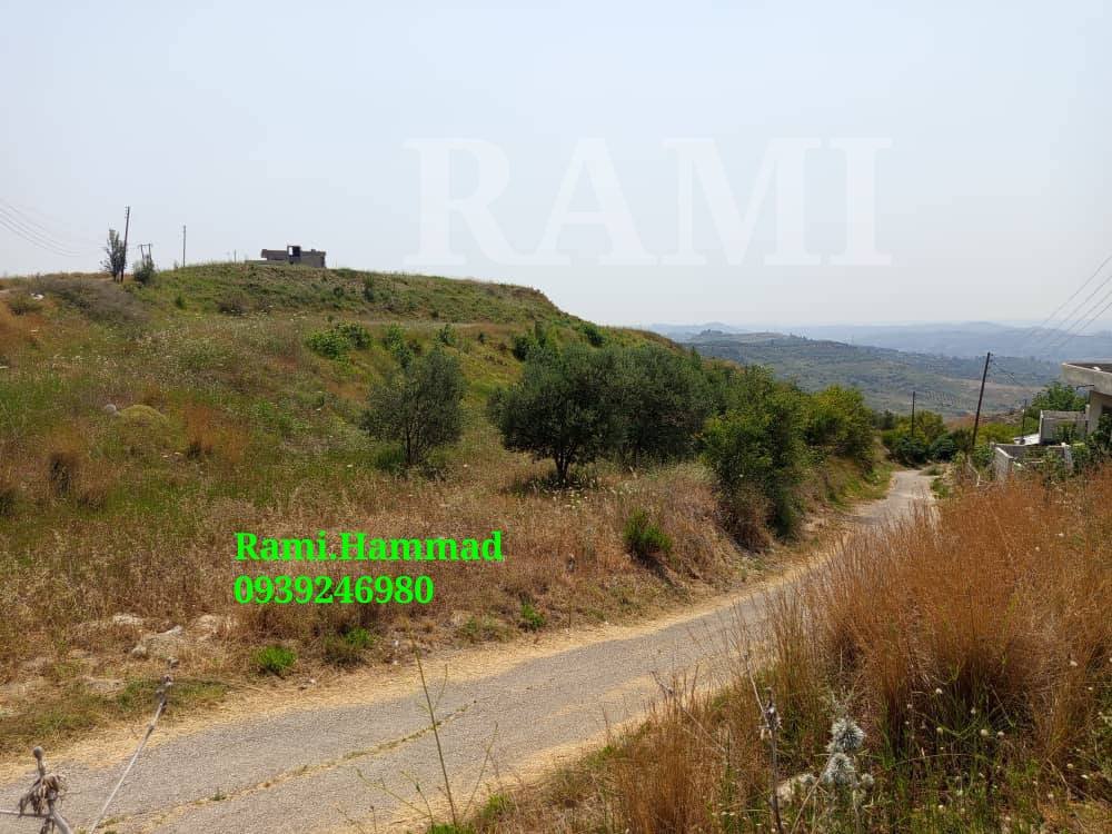 508188990_744315548085880_1194187605572292192_n