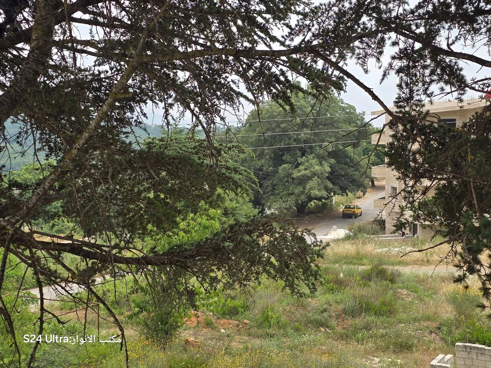 508194174_1130396885775520_53755167669906578_n