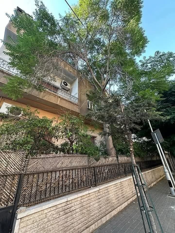 508397779_1300189875445894_3119014997159955375_n