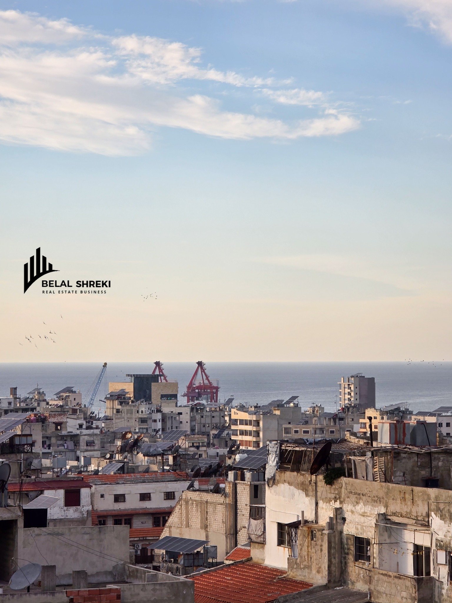 509352671_1037243735218554_6894130015980390909_n