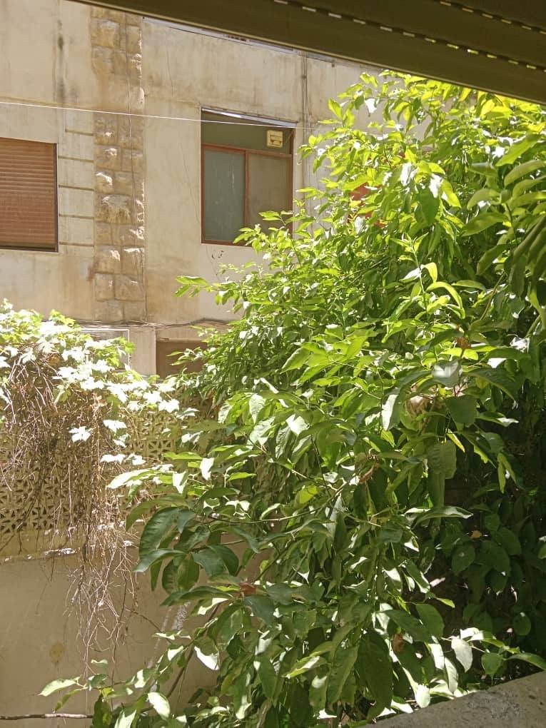 514042167_122159016560404125_5035474889792901382_n