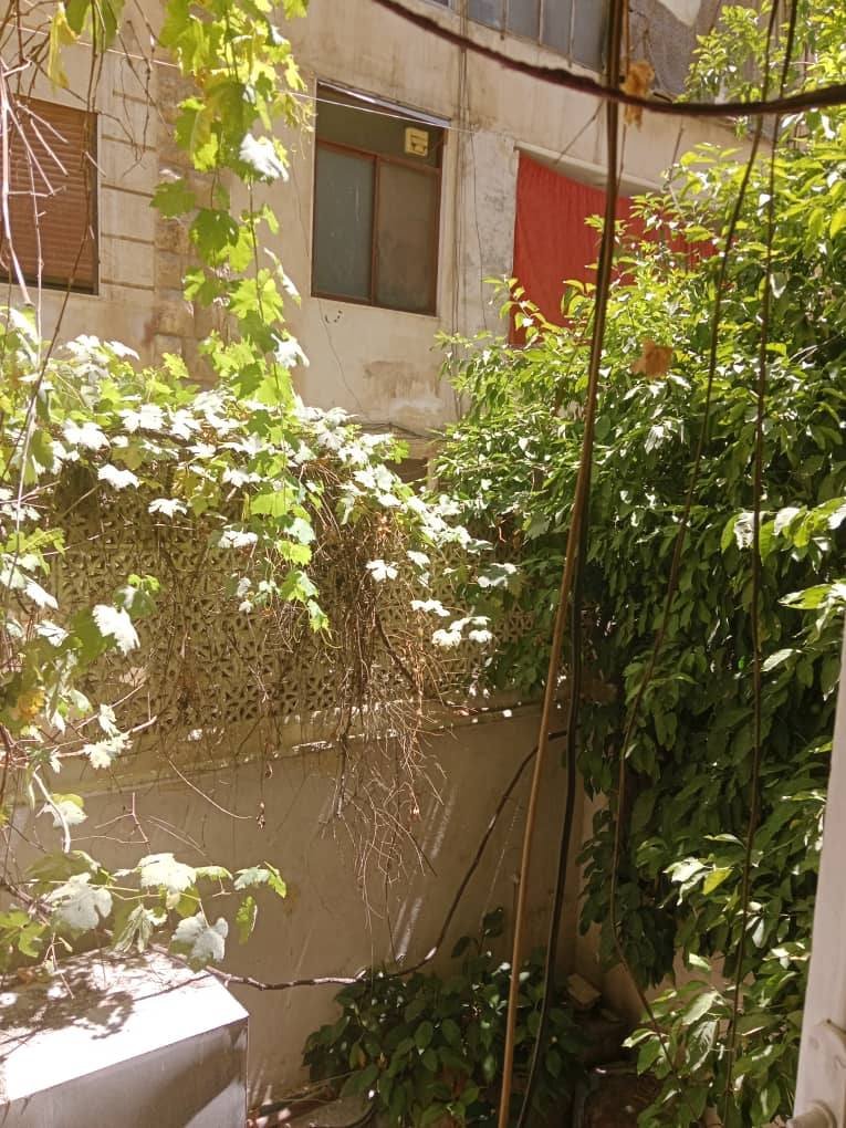 514361953_122159016782404125_6273607553552235857_n