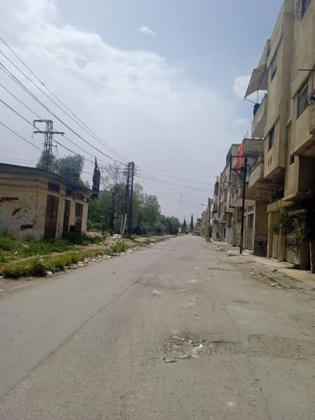 495762791_1079185904232305_4090442994762848740_n