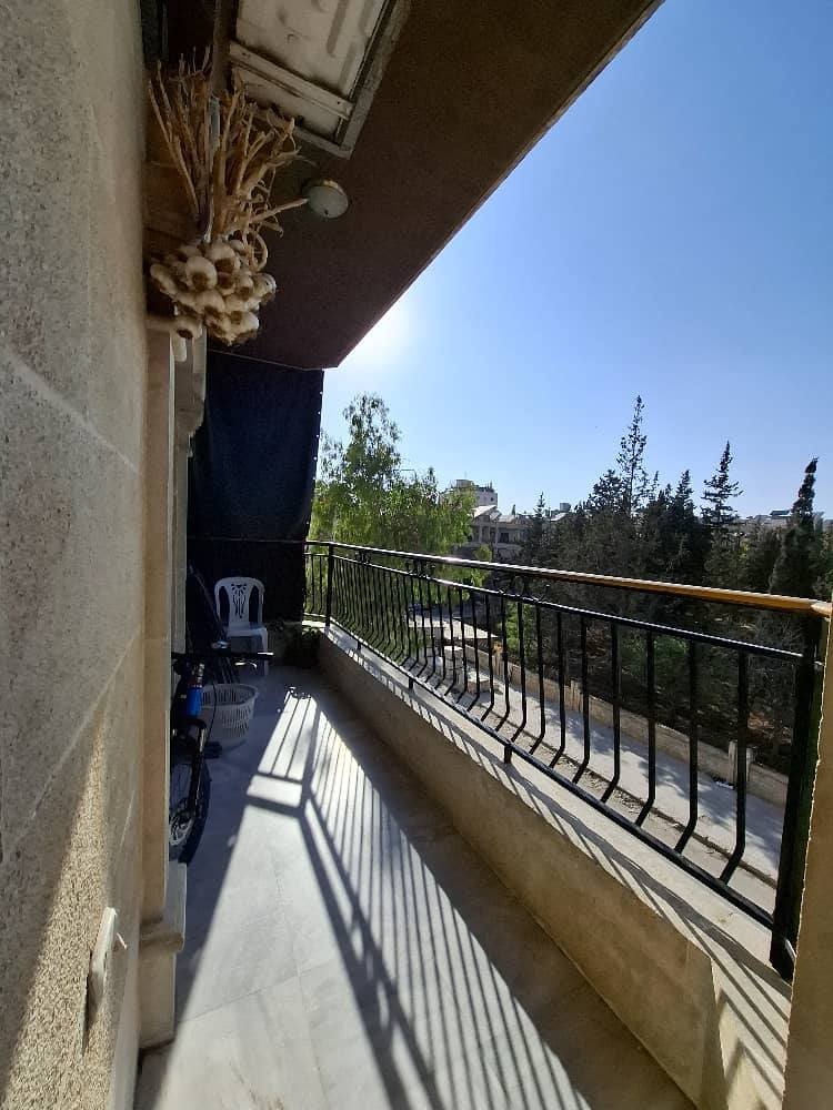 511187295_1281101790691084_878947949948987258_n