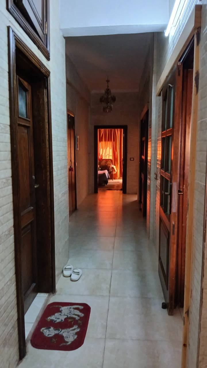 511682701_1183887160209142_2017115777551339424_n