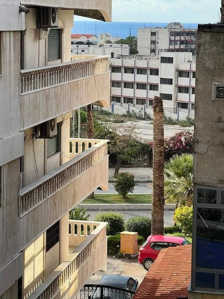 512665970_1186214736643051_3016786126414772431_n