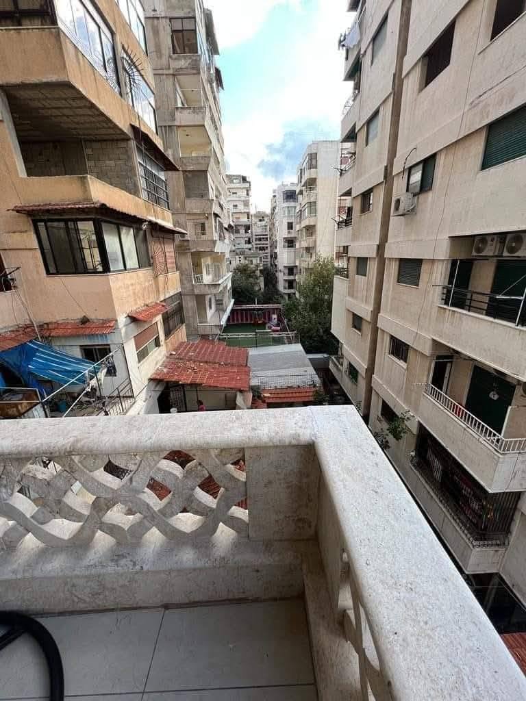 513592115_1186214536643071_4146733788095255118_n