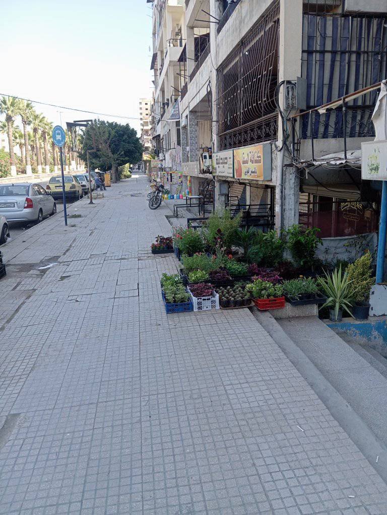 513664114_1132609335344344_1490444812454078678_n