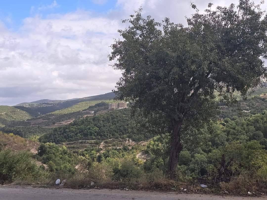 513878173_1141378554677353_3606749486031948958_n