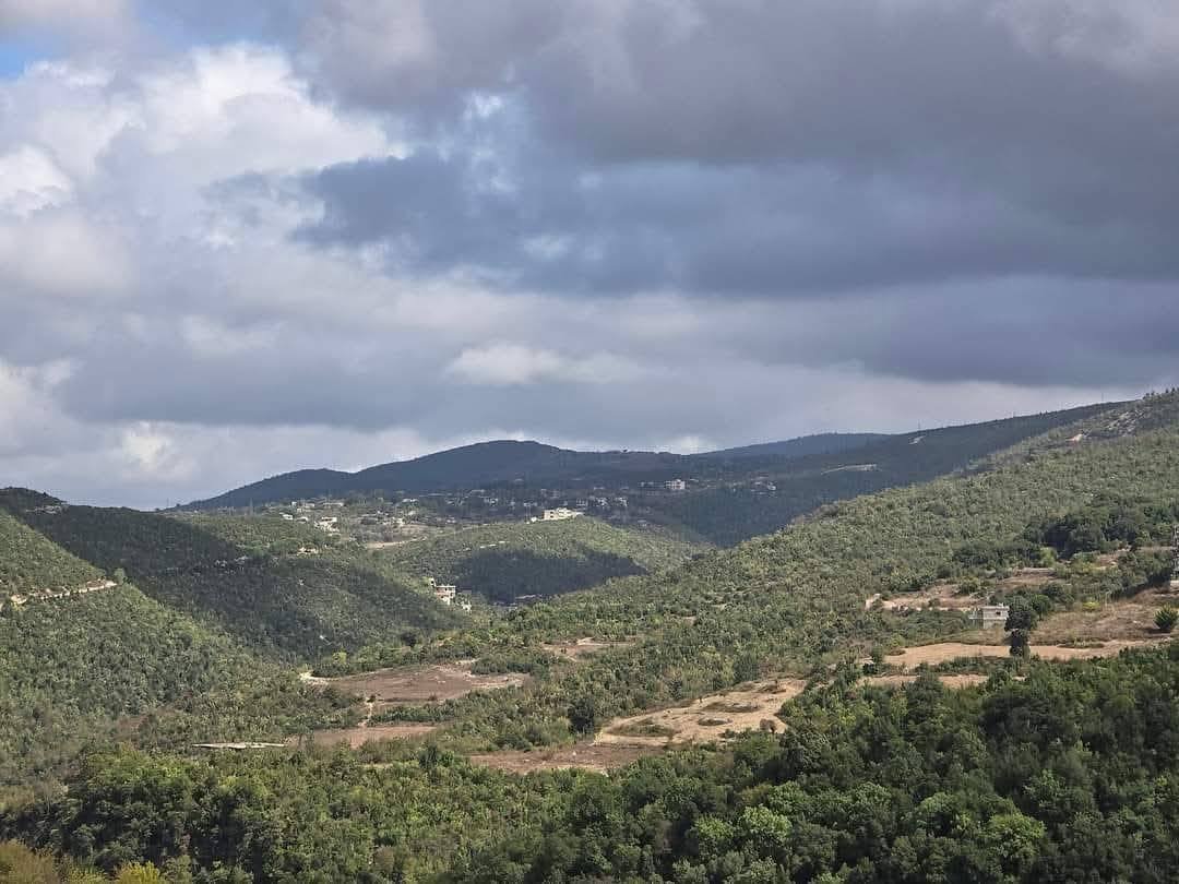 514342000_1141378124677396_5889215710422485327_n