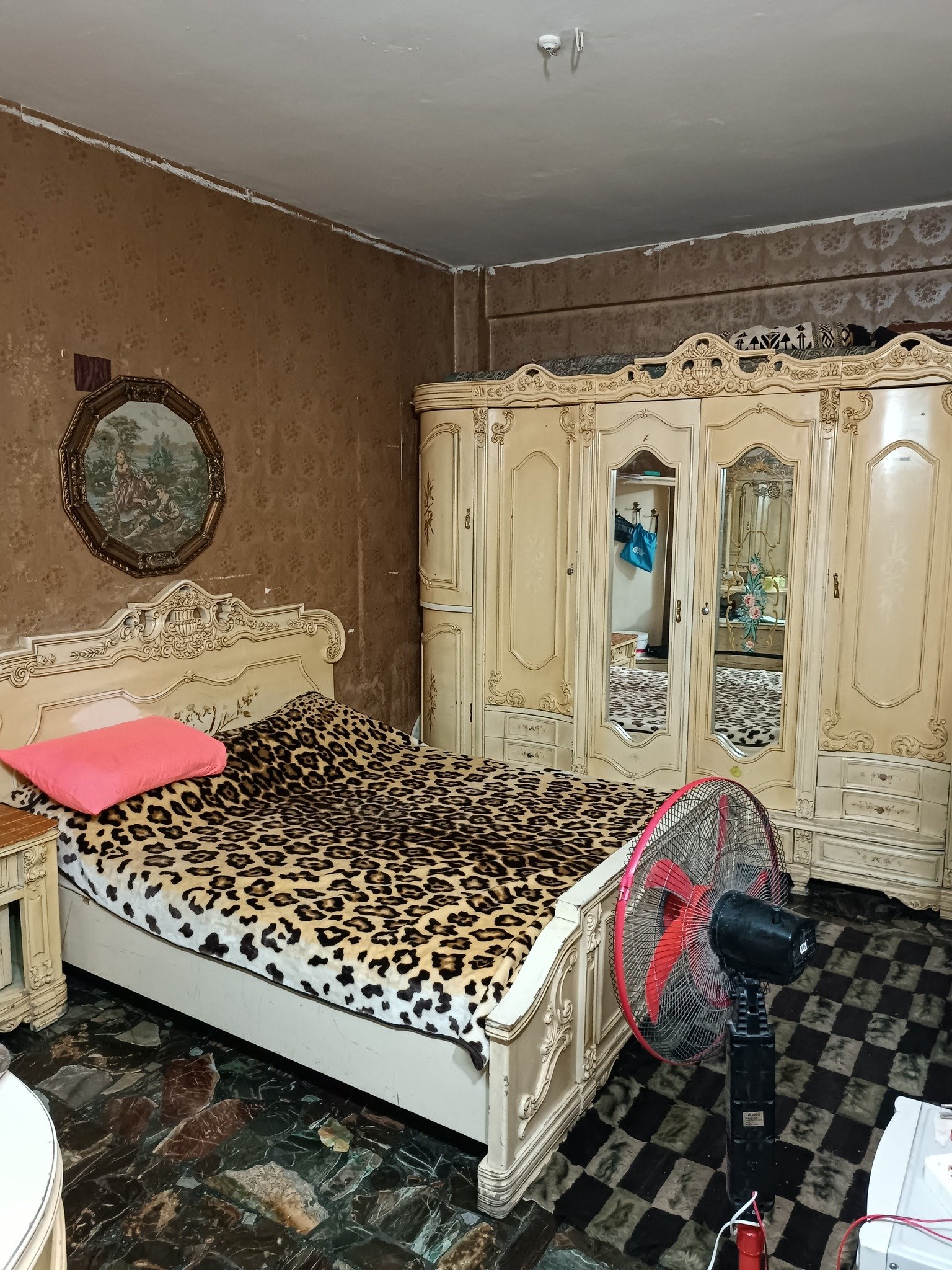 514405820_1397207088668255_1930365345489013049_n