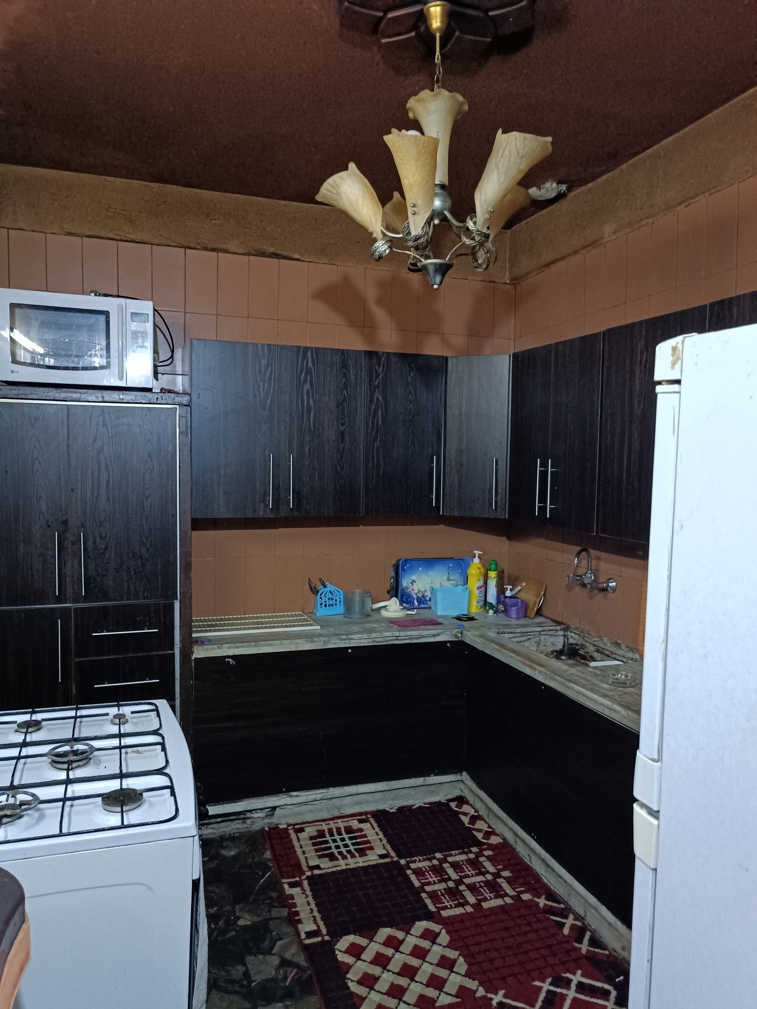 515067995_1397208332001464_7952030486457400700_n