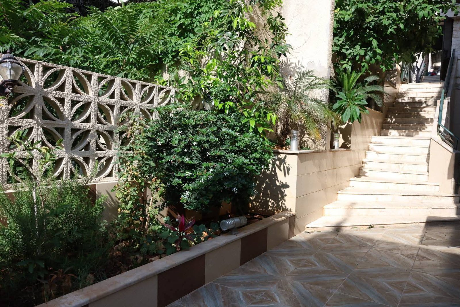 517762587_740720342044609_4642014714607369237_n