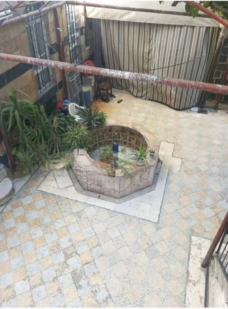 518243817_122232011480075746_2147437755625375986_n