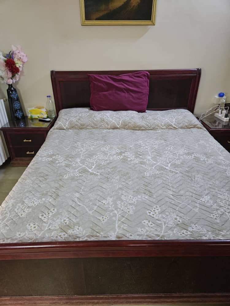 520385863_726437620135034_7243293419578879606_n