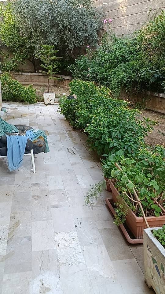 522389288_122233842614075746_4607797343471388763_n (1)