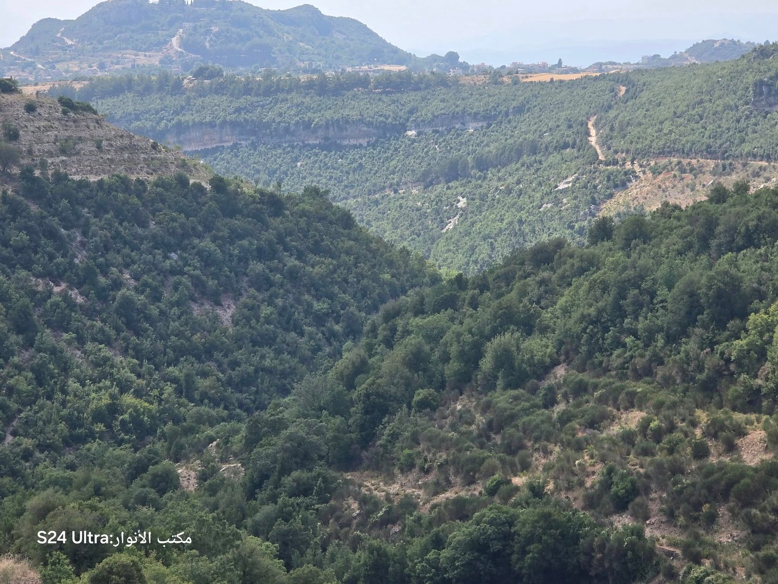 517031761_1149095807238961_1138520596415061722_n