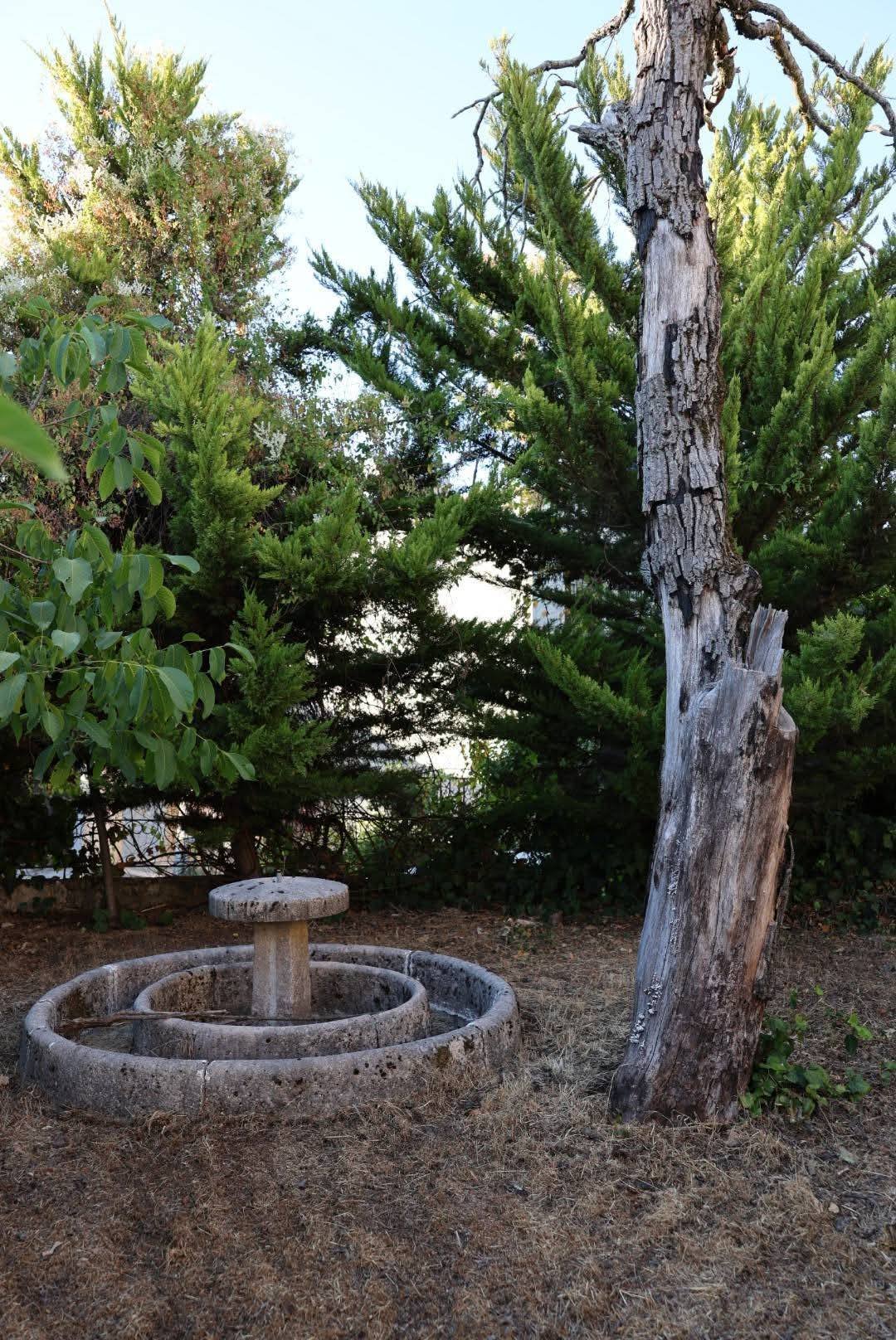 519644796_1158512489630626_219873234623127536_n