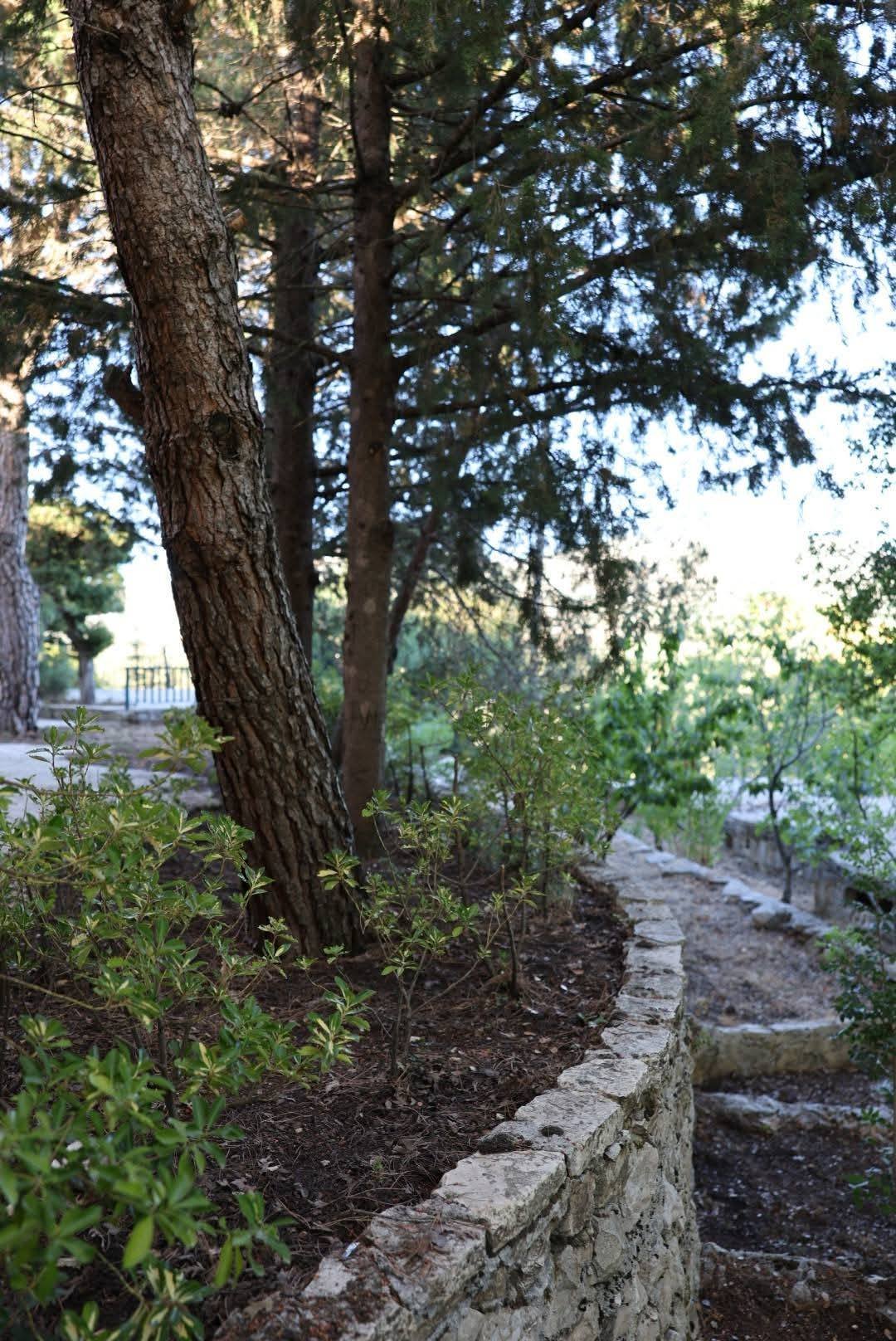 519785914_1158509972964211_335390459207186632_n