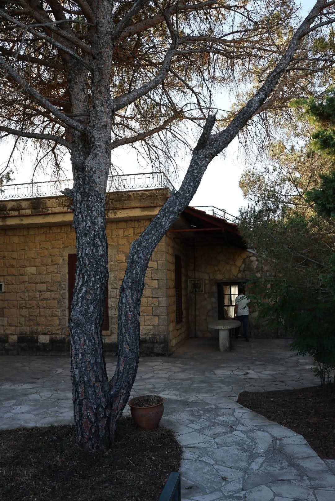 519939723_1158510046297537_7319110306819491772_n