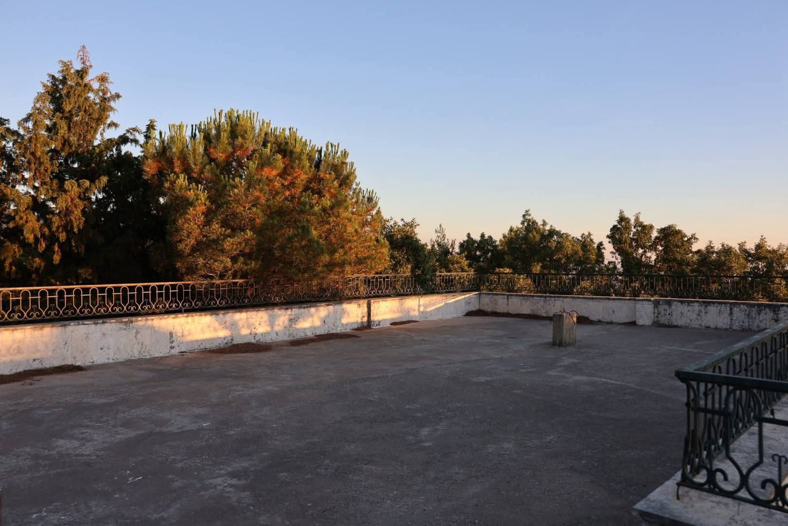 519973824_1158509169630958_4189746101129341481_n