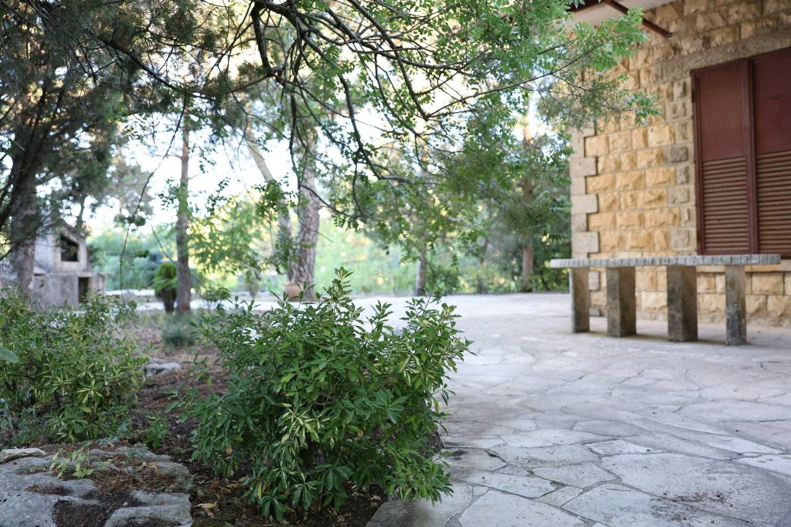 520072305_1158512252963983_632571875136979058_n