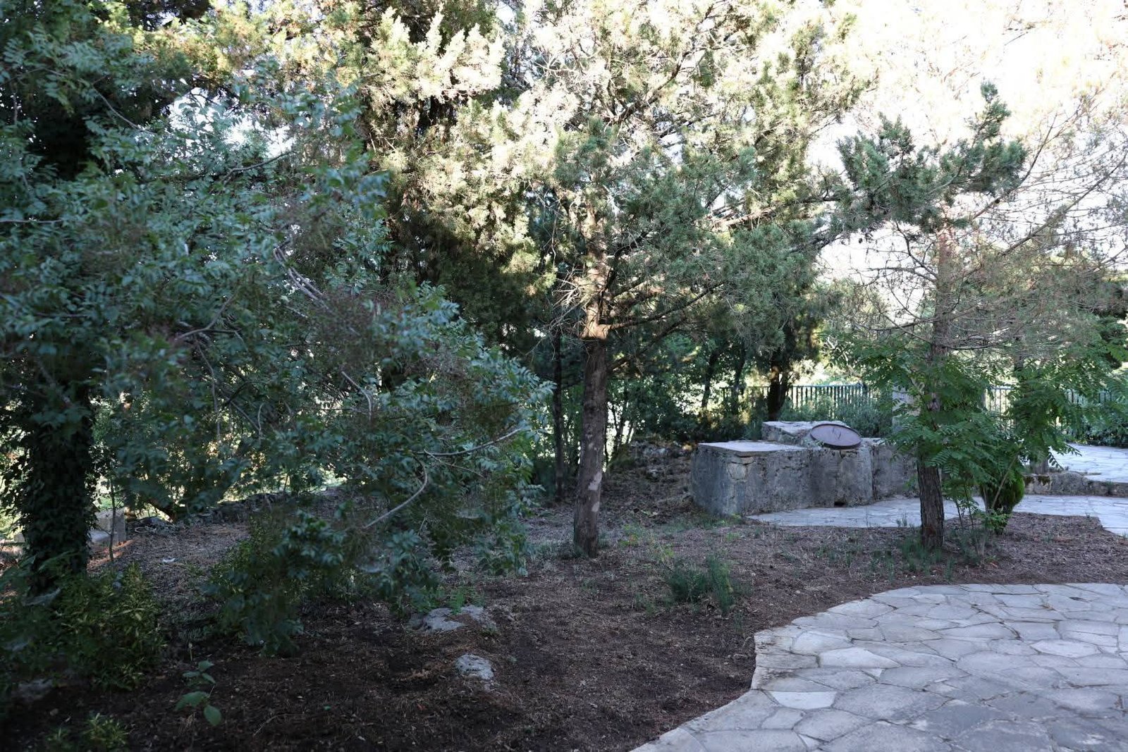 520155636_1158509552964253_7983015061102011127_n