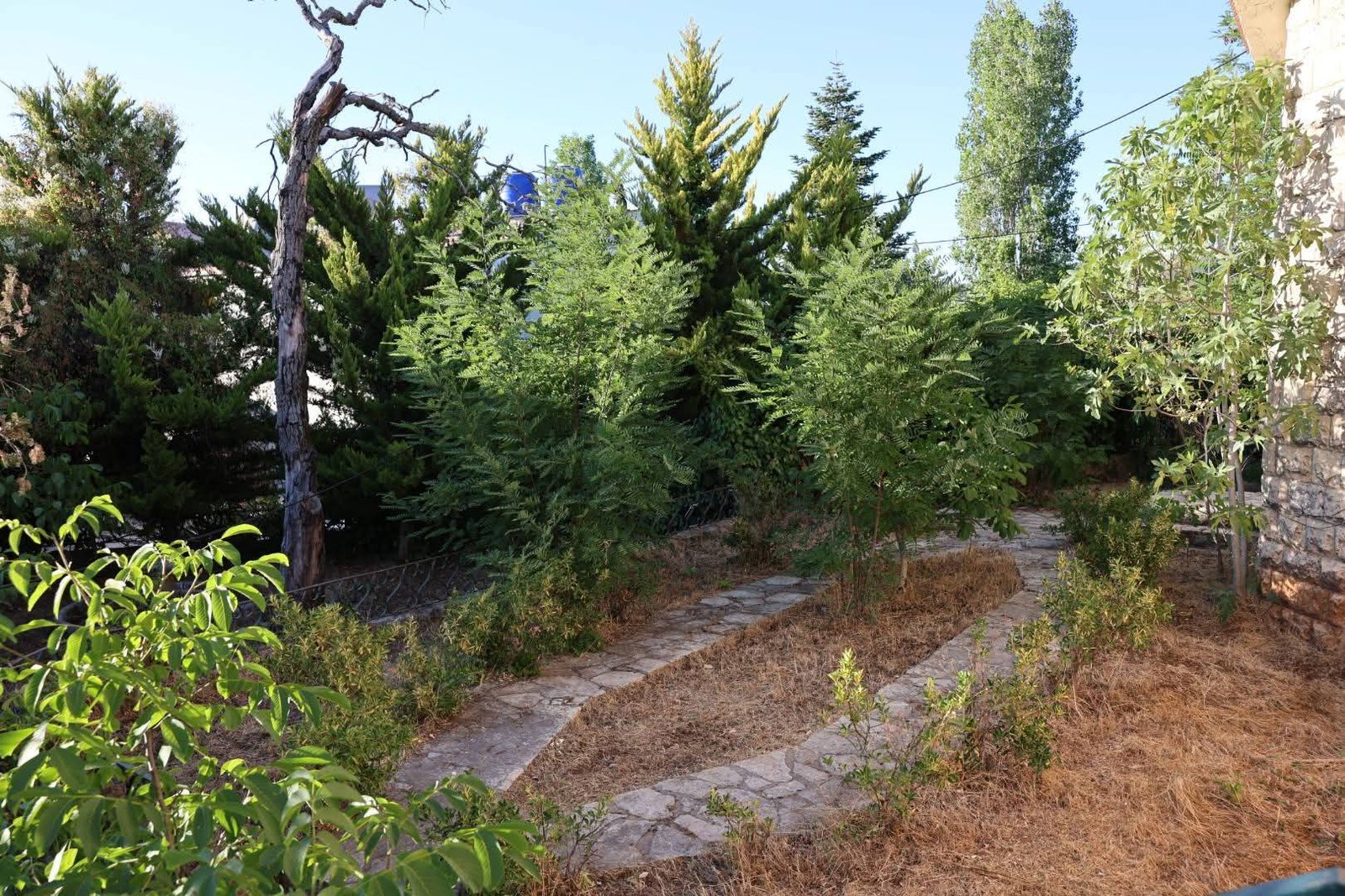 520438345_1158510136297528_7175788665997716474_n