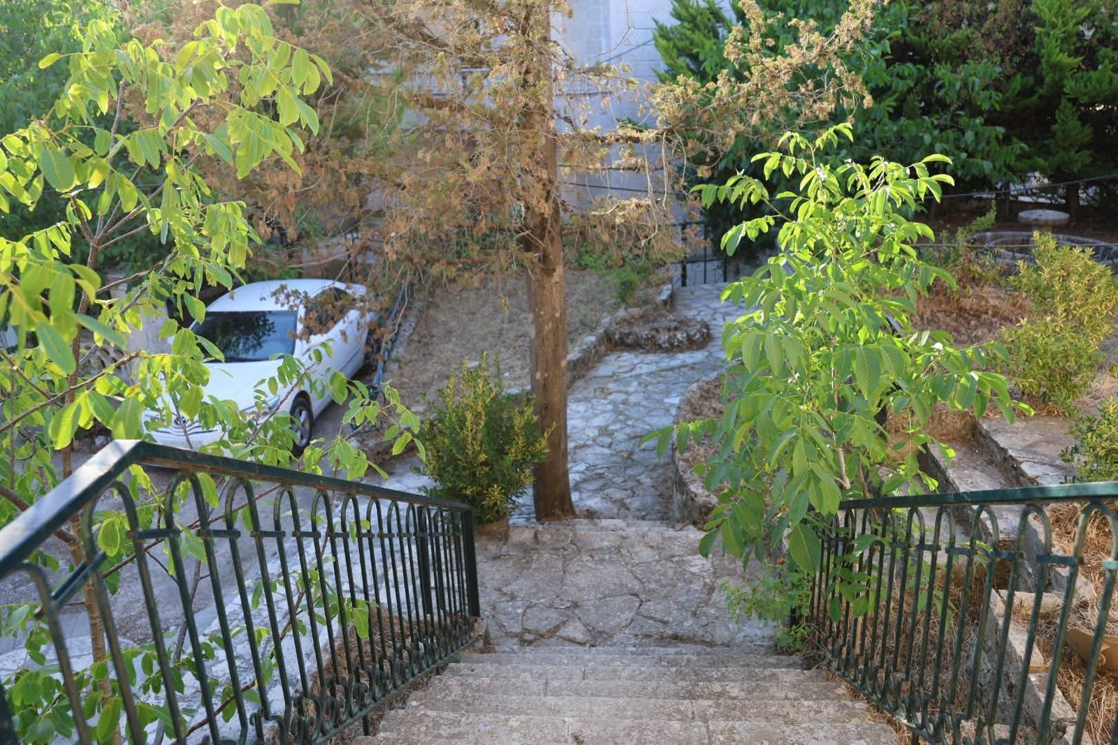 521634015_1158509629630912_4814639211622423330_n