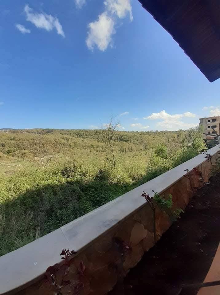 523257388_1160718782743330_3029796617068349487_n