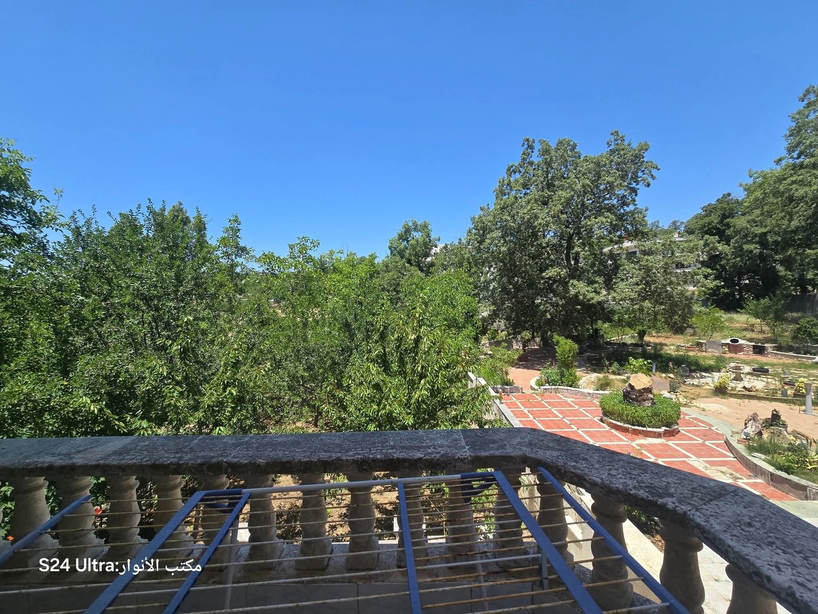 524339167_1163199895828552_5974063088854641747_n