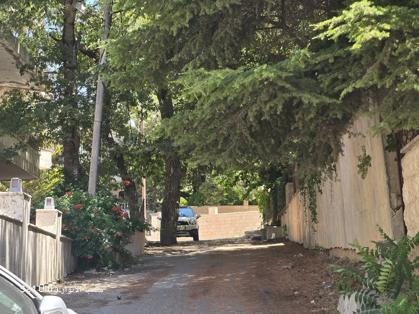 524694045_1163198742495334_477028055853456974_n