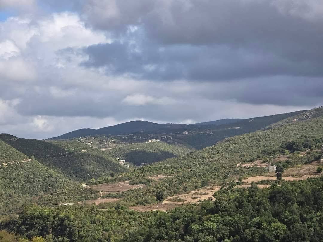 524855659_1165116792303529_7905625950840368445_n