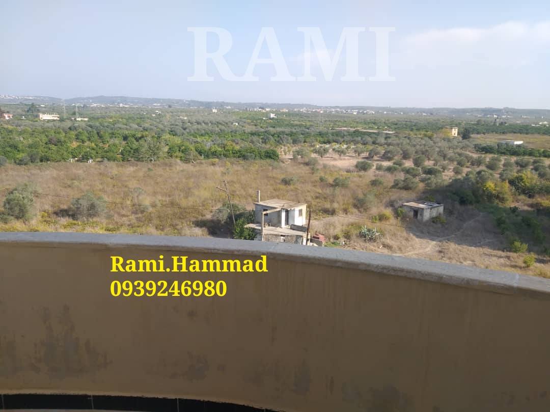 527182519_781173761066725_2471145602017370762_n